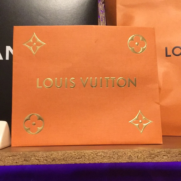 Small Louis Vuitton Bag - Picture 1 of 1